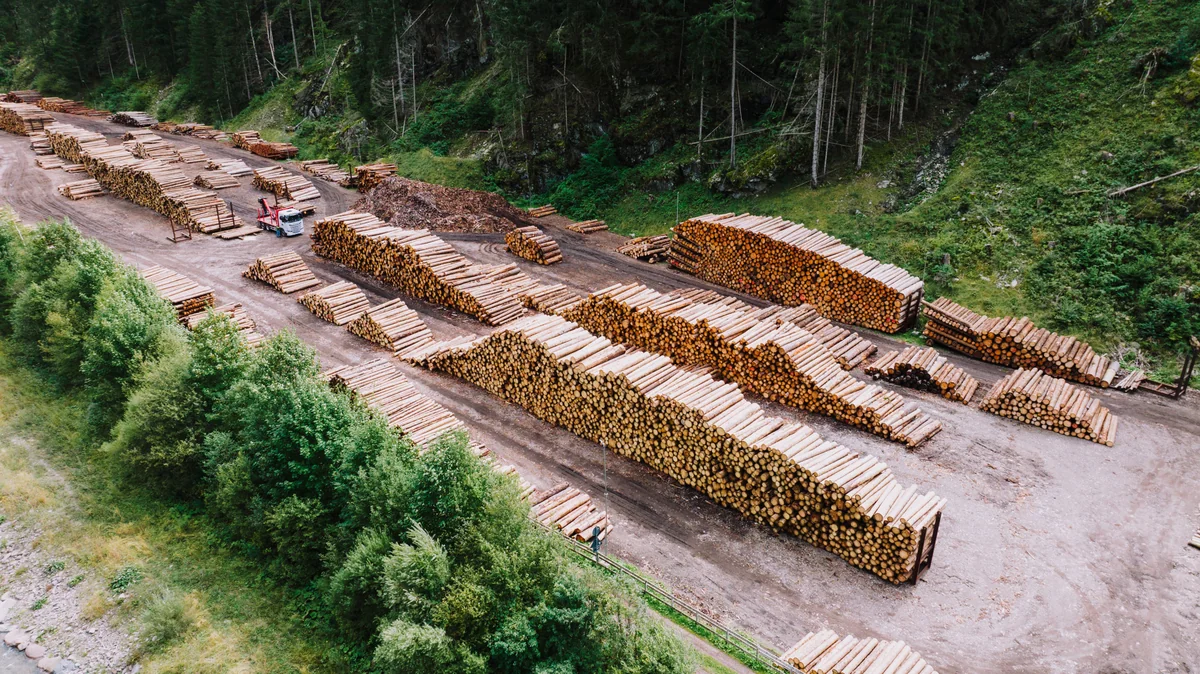 Aerial landscape view of stacked logs in a timber yard bordered by dense green forest.