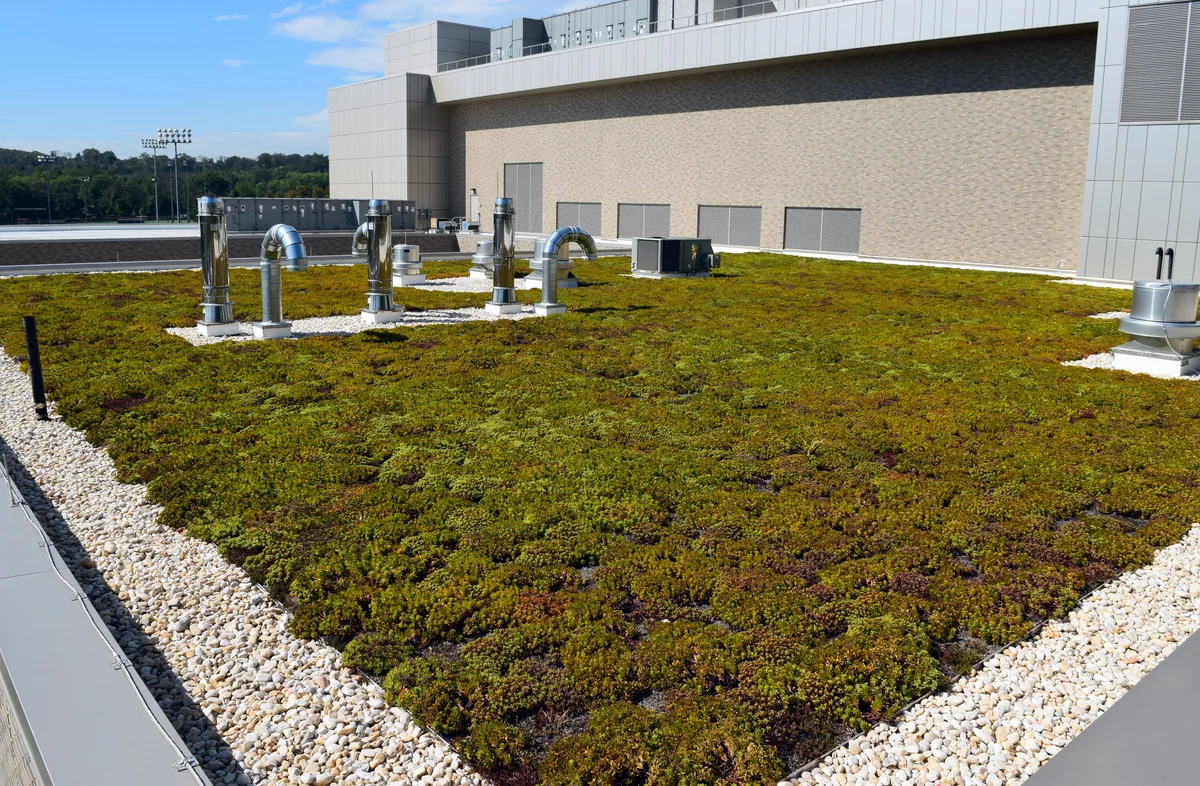 A broad green roof with silver ventilation ducts beside a modern industrial building, with wooded hills in the background.