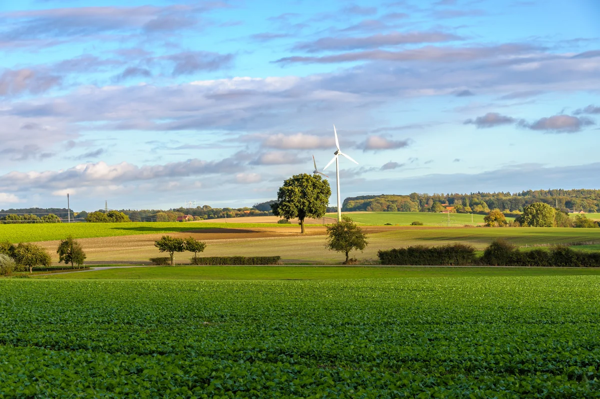 Several white wind turbines stand beyond green and freshly tilled fields, with trees and a blue sky with scattered clouds in the background.