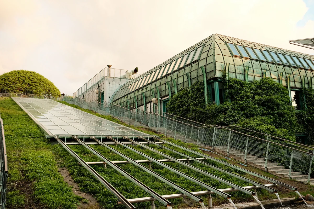 Modern building with a broad planted green roof, glass walls, trees and paved ground in front.