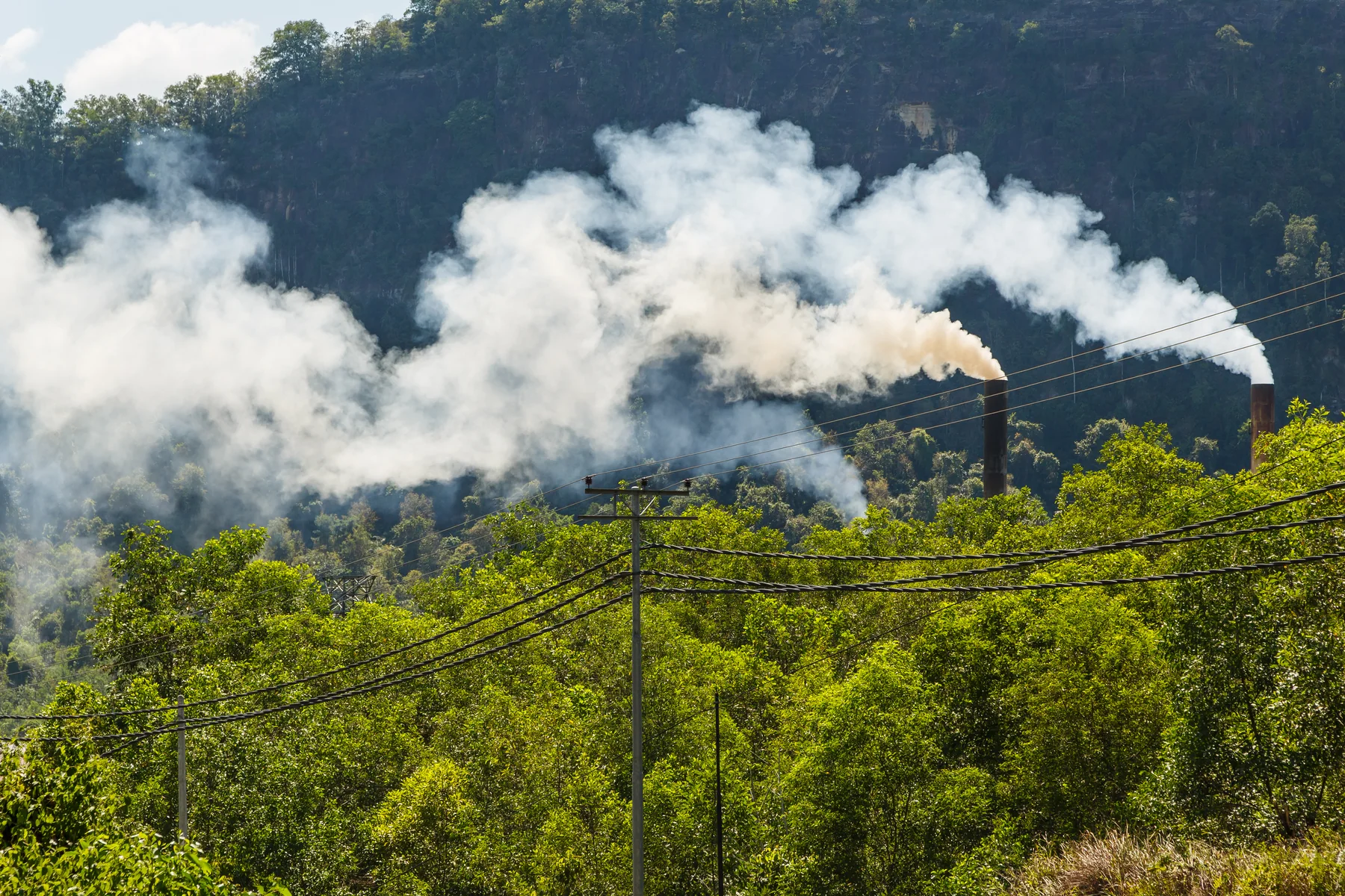 Landscape photograph of white smoke rising from several biomass power-plant funnels above dense green vegetation, with utility lines across the foreground.