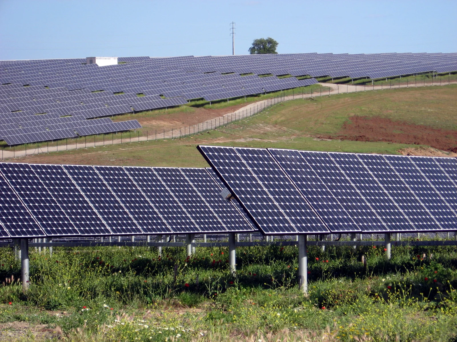 Landscape photograph of a ground-mounted solar power plant with rows of photovoltaic panels across an open field.