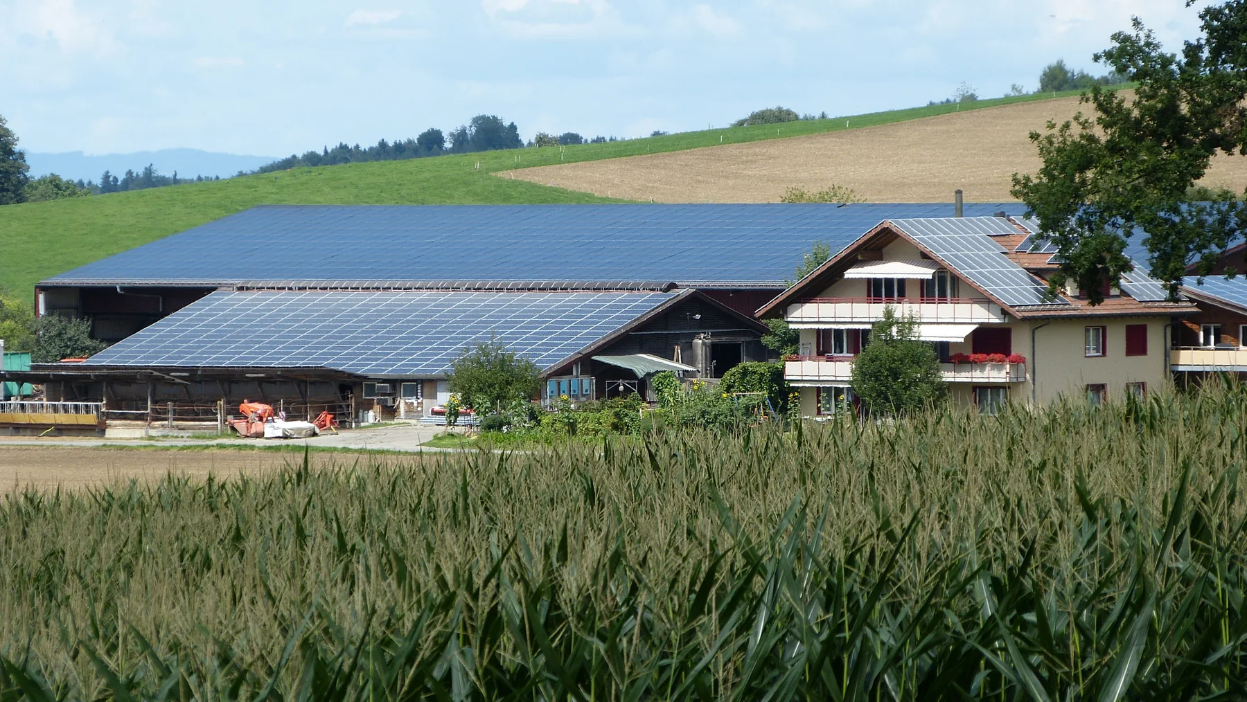 Rows of dark solar panels cover the roof of farm buildings, with green fields and a wooded horizon beyond.