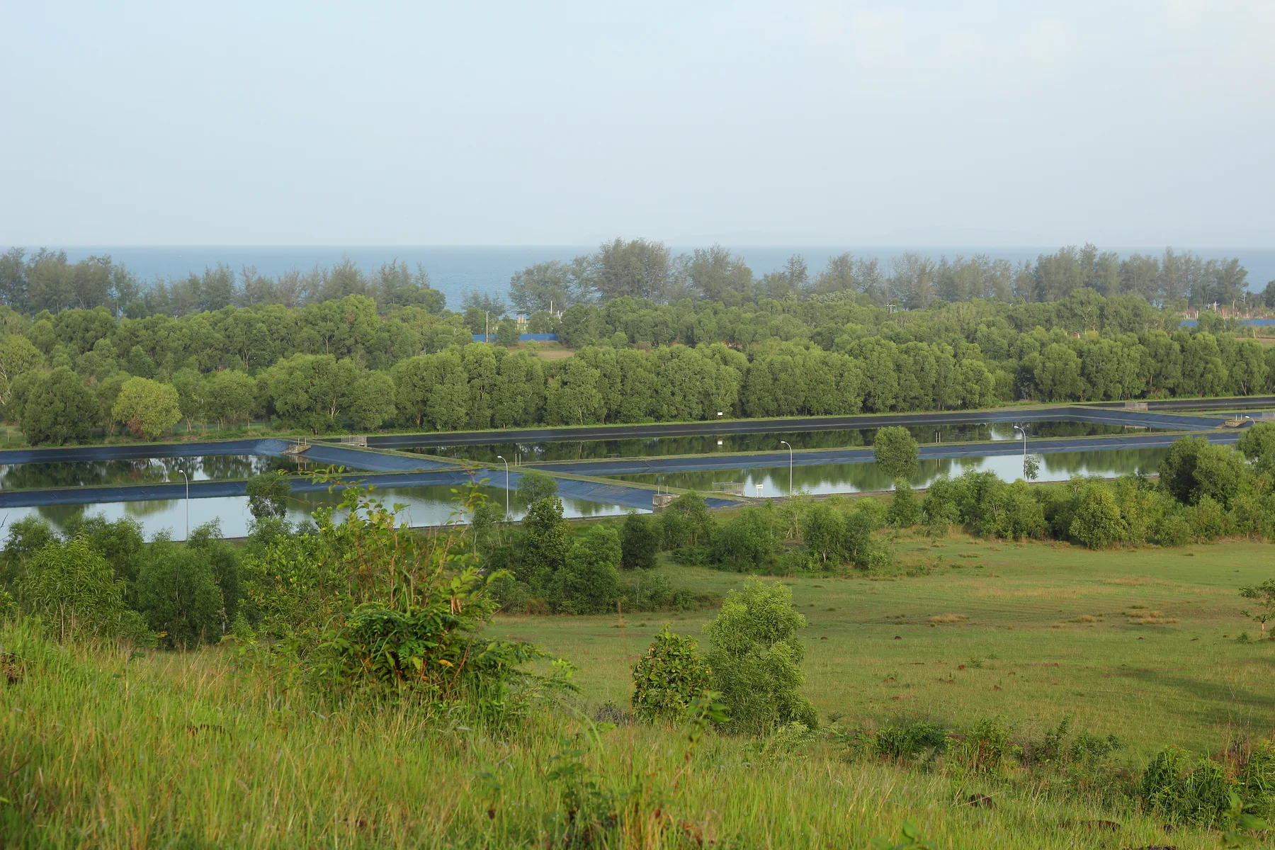 Wide landscape view of circular wastewater treatment basins and rectangular settling ponds at a treatment plant, with trees in the background.